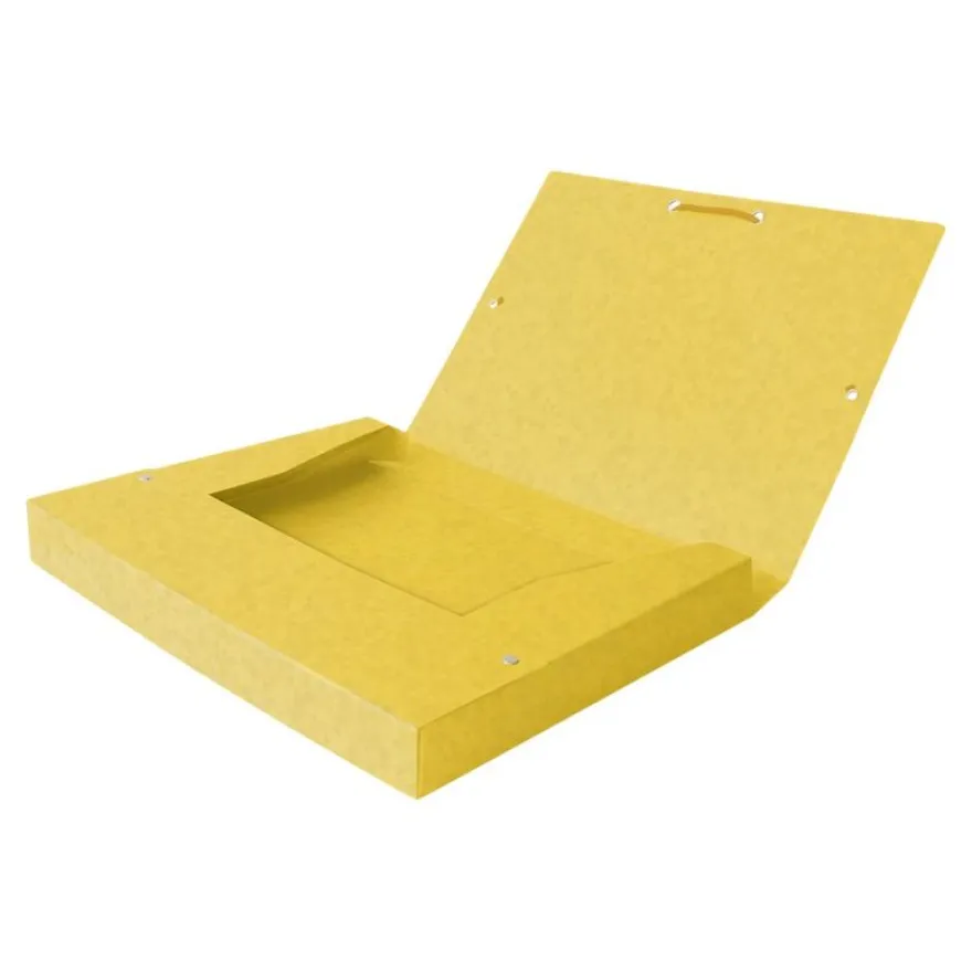 Oxford - 4 boîtes de classement carton dont 1 offerte - dos 40 mm - couleurs assorties