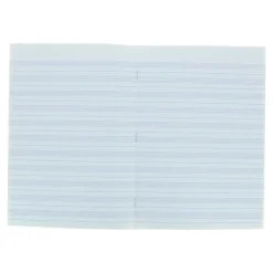 Oxford - Cahier de musique A4 (21x29,7 cm) - 48 pages - 24 pages à portée et 24 pages grands carreaux
