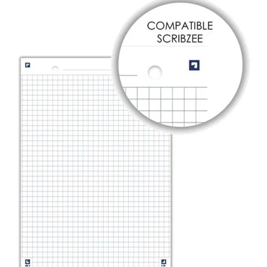 Oxford - Pack de 30 Fiches Bristol - A5 - petits carreaux - perforées - blanc