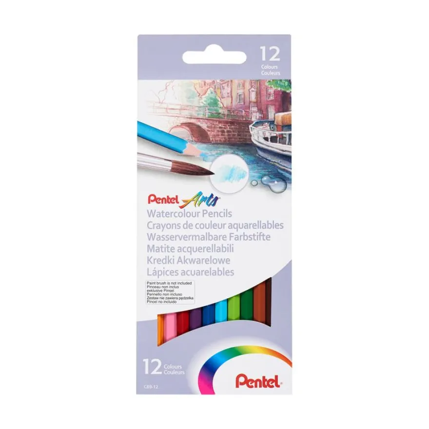 Pentel Arts - Boite de 12 crayons de couleurs aquarellables CB9-12U