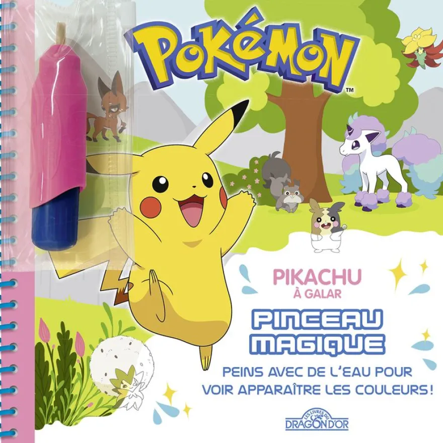 Pokemon Pinceau Magique Pikachu à Galar