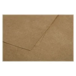 Pollen - 25 Cartes - 110 x 155 mm - 200g/m² - kraft