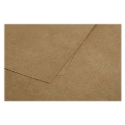 Pollen - 25 Cartes - 106 x 213 mm - 200 g/m² - kraft