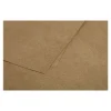 Pollen - 25 Cartes - 160 x 160 mm - 200g/m² - kraft