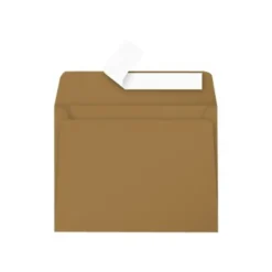 Pollen - 20 Enveloppes - 90 x 140 mm - 135 g/m² - kraft