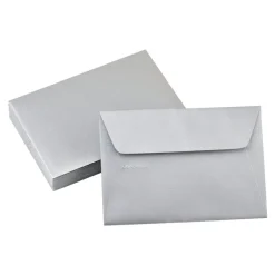 Pollen - 20 Enveloppes - 114 x 162 mm - 120 g/m² - argent