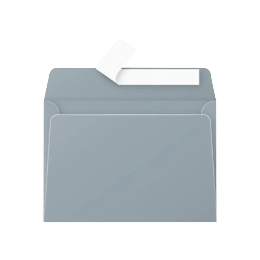 Pollen - 20 Enveloppes - 114 x 162 mm - 120 g/m² - argent