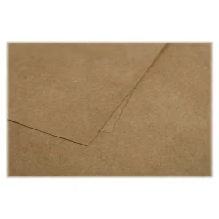 Pollen - 20 Enveloppes - 110 x 220 mm - 135 g/m² - kraft