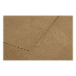 Pollen - 20 Enveloppes gommées - 162 x 229 mm - 135 g/m² - kraft