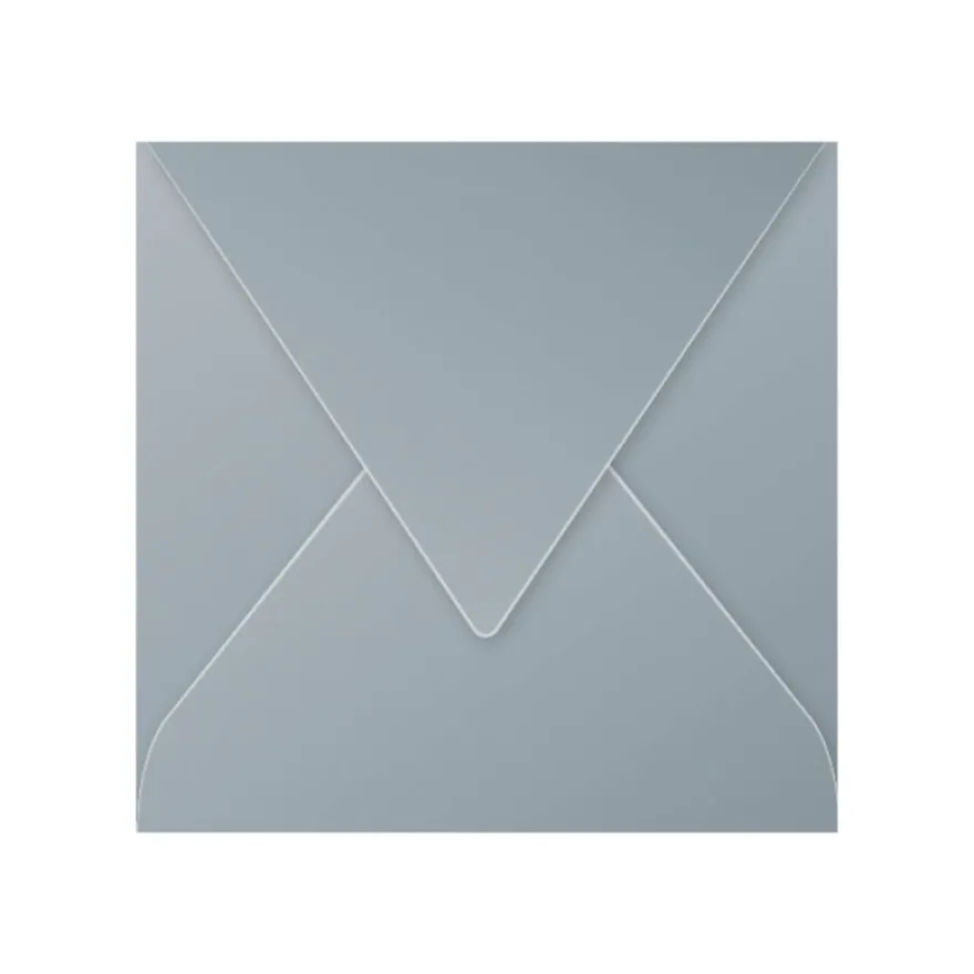 Pollen - 20 Enveloppes gommées - 165 x 165 mm - 120 g/m² - argent