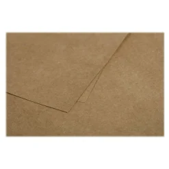 Pollen - 25 Feuilles papier couleur - A4 (21 x 29,7 cm) - 210 g/m² - kraft