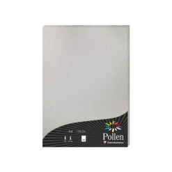 Pollen - 50 Feuilles papier couleur - A4 (21 x 29,7 cm) - 120 g/m² - argent