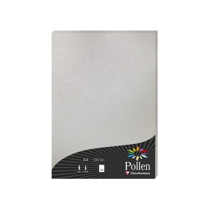 Pollen - 50 Feuilles papier couleur - A4 (21 x 29,7 cm) - 120 g/m² - argent
