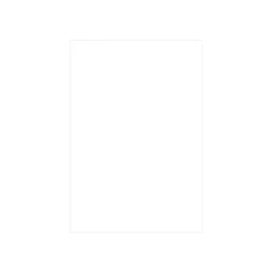 Pollen - 50 Feuilles papier couleur - A4 (21 x 29,7 cm) - 160 g/m² - blanc