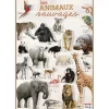 Poster pédagogique Animaux Sauvages - 52 x 76 cm - Bouchut