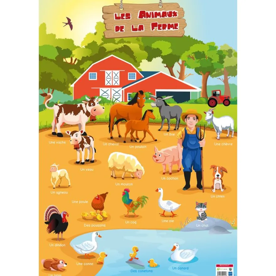 Poster pédagogique Animaux de la Ferme - 52 x 76 cm - Bouchut