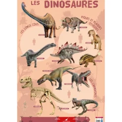 Poster pédagogique Dinosaures - 52 x 76 cm - Bouchut