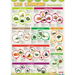 Poster pédagogique Légumes - 52 x 76 cm - Bouchut