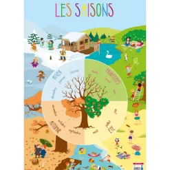 Poster pédagogique Saisons - 52 x 76 cm - Bouchut