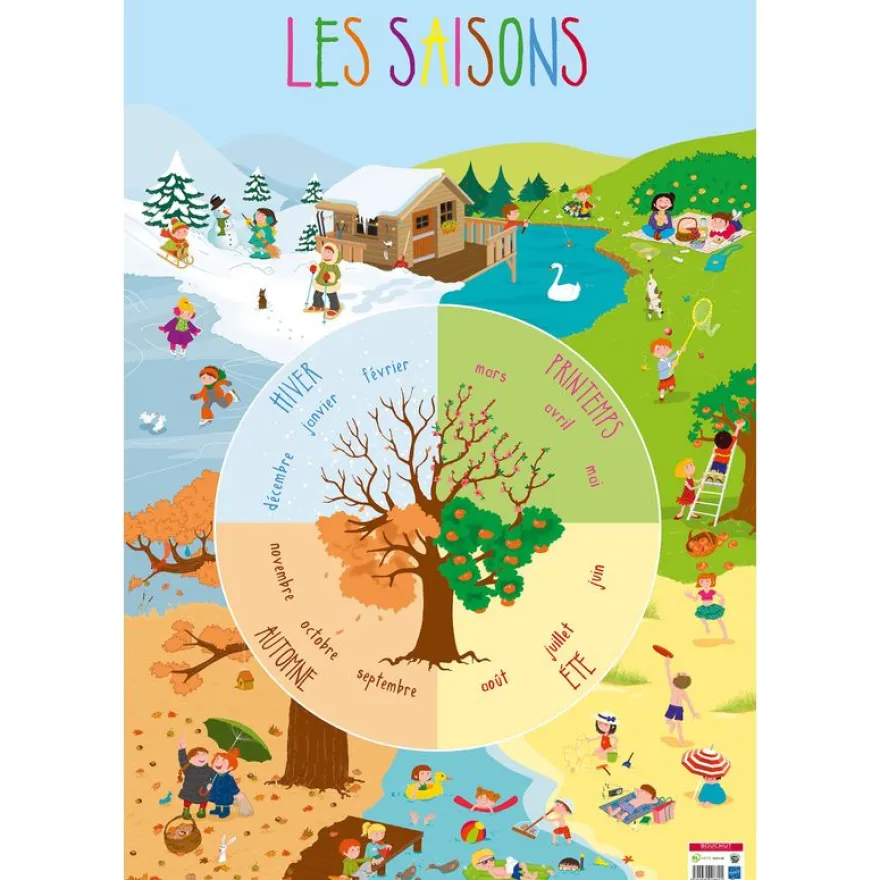 Poster pédagogique Saisons - 52 x 76 cm - Bouchut