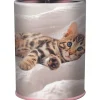 Pot a crayons chaton - 6,7 x 10,7 cm - Oberthur