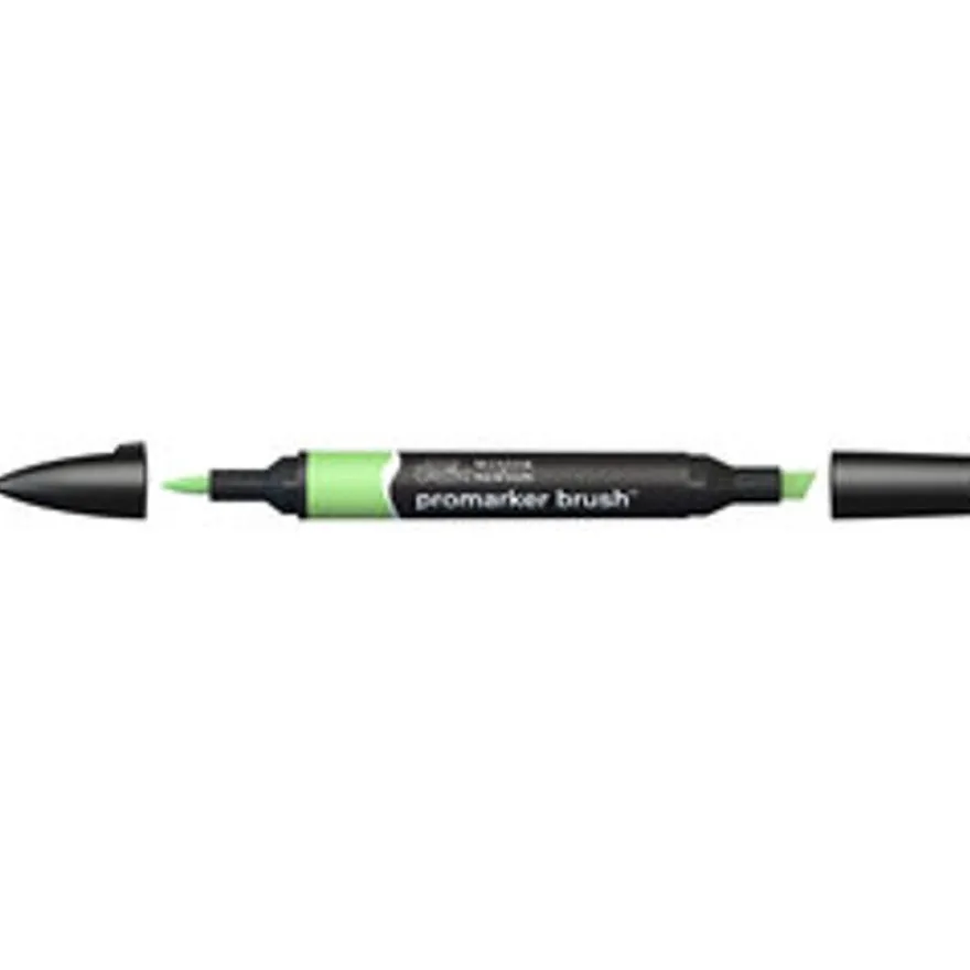 Promarker Brush - Stylo pinceau et marqueur - pomme