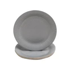 Pronappe - 20 Assiettes - Taille 23 cm diameter - rond - jetable - gris