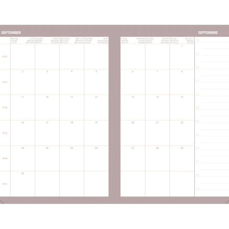 Quo Vadis - Agenda année scolaire - 2026-2027 - Universitaire Color - Semainier Planning - Multilingue - Festy - Bleu - 13 mois de août à août - 10x15 cm