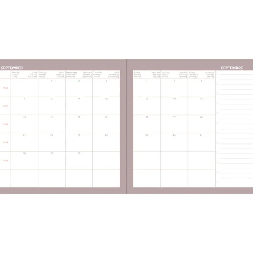 Quo Vadis - Agenda année scolaire - 2026-2027 - Exécutif Septembre Color - Semainier Planning - Multilingue - Céleste - Beige - 13 mois de août à août - 16x16 cm