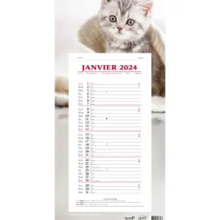 Quo Vadis Animaux - Calendrier bloc mensuel - 16 x 33,5 cm