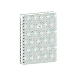 Quo Vadis Daisy - Carnet de notes ligné/pointillés - 15 x 21 cm - 192 pages - vert céladon
