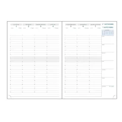 Recharge pour agenda SAD 29 16 mois - 1 semaine sur 2 pages - A4 (21x29,7 cm) - Exacompta