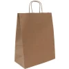 Sac kraft poignées torsadées Jungle vert - 24 x 11 x 31 cm