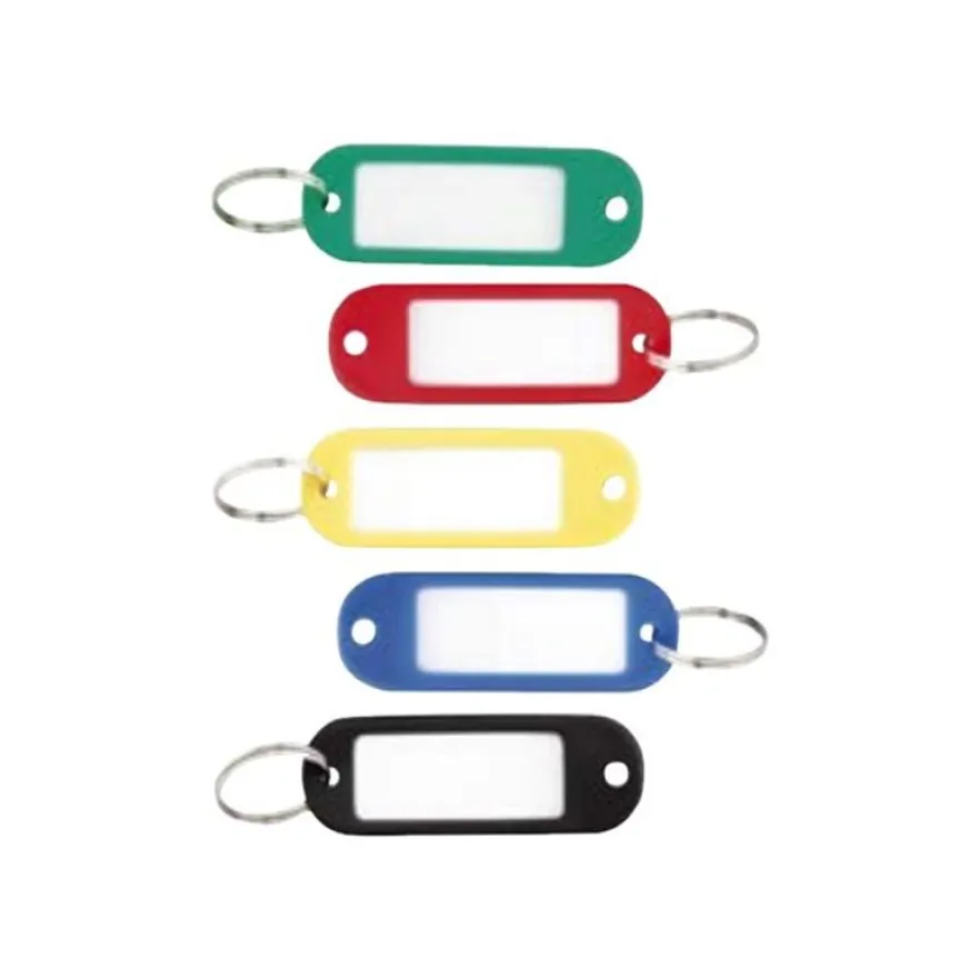Sign - 100 Porte-clés - 56 x 22 mm - plastique - couleurs assorties