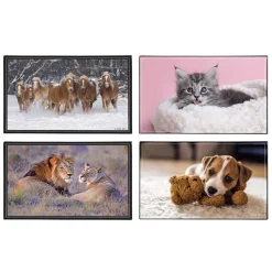 Sous-main Animaux 4 visuels - 59,5 x 36,2 cm - Assortis - Viquel