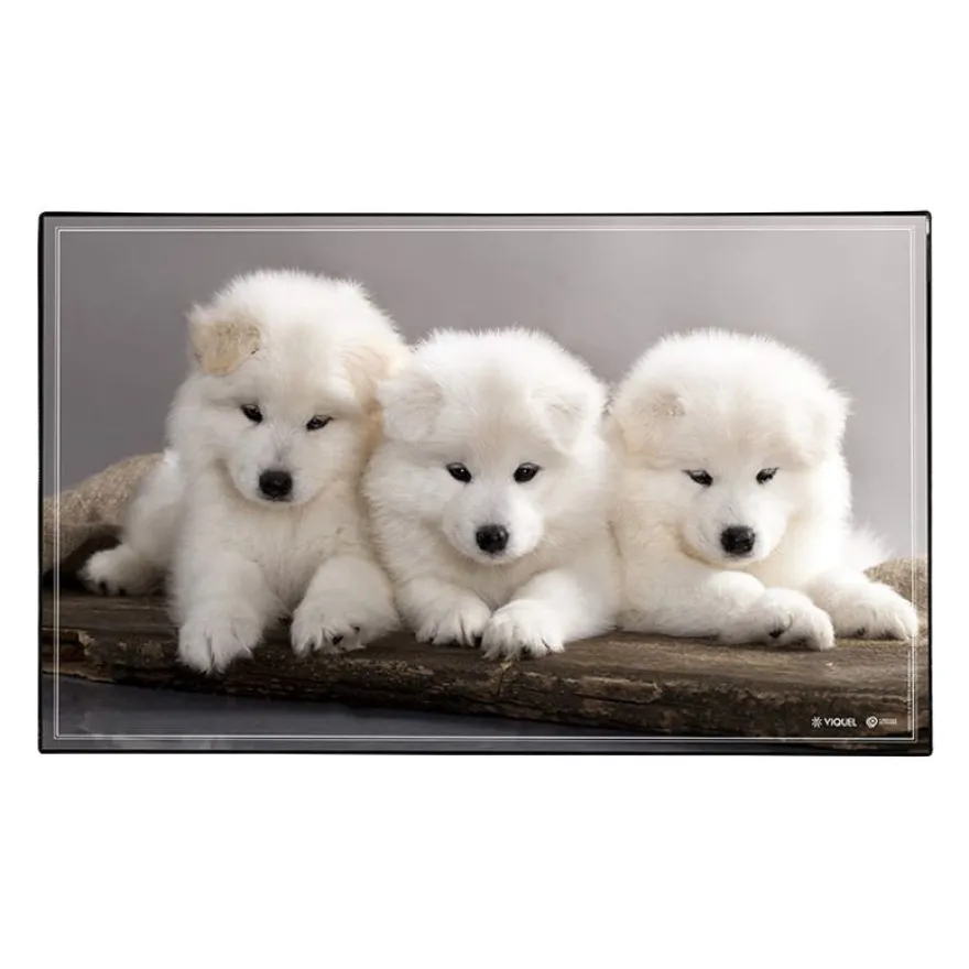 Sous-main Animaux 4 visuels - 59,5 x 36,2 cm - Assortis - Viquel