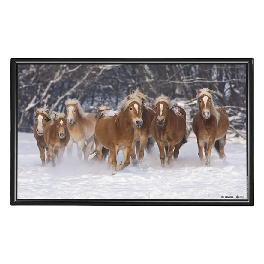 Sous-main Animaux 4 visuels - 59,5 x 36,2 cm - Assortis - Viquel