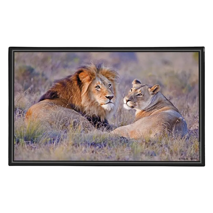 Sous-main Animaux 4 visuels - 59,5 x 36,2 cm - Assortis - Viquel