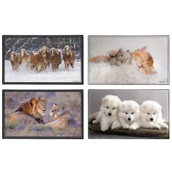 Sous-main Animaux 4 visuels - 59,5 x 36,2 cm - Assortis - Viquel