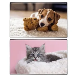 Sous-main Animaux Chaton + Chiot - 59,5 x 36,2 cm - Assortis - Viquel