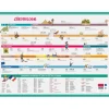 Sous-main carton rigide Chronologie - 40,5 x 55 cm - Bouchut