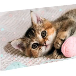 Sous-main double chaton tendre - 55 x 37 cm - Oberthur
