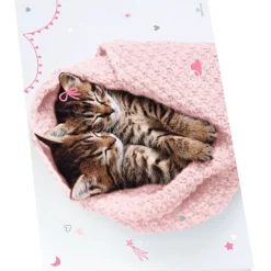 Sous-main double chaton tendre duo - 55 x 37 cm - Oberthur
