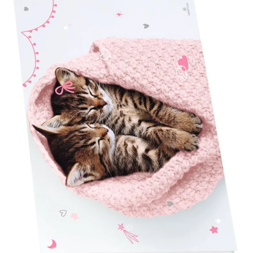 Sous-main double chaton tendre duo - 55 x 37 cm - Oberthur
