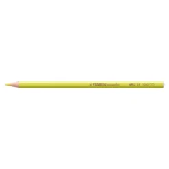 STABILO Aquacolor Arty - 24 Crayons de couleur aquarellables