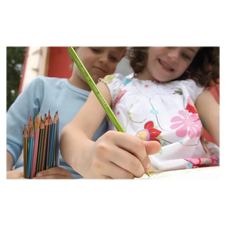 STABILO GREENcolors Arty - 24 Crayons de couleur