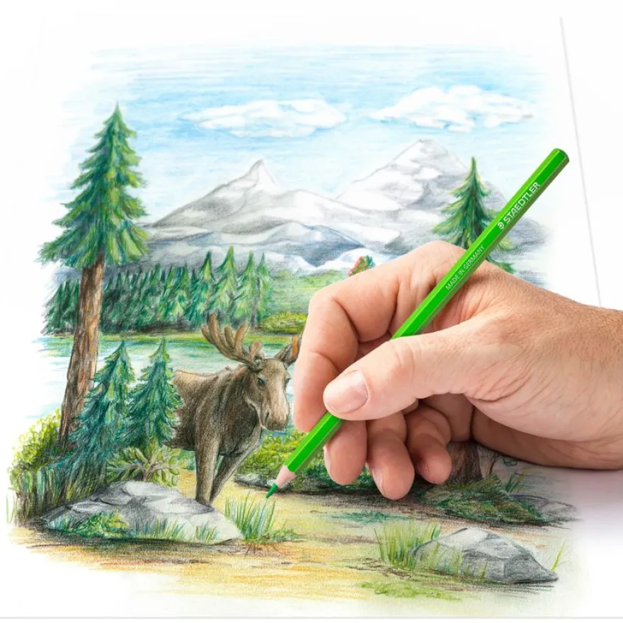 STAEDTLER Design Journey - 48 Crayons de couleur - couleurs assorties