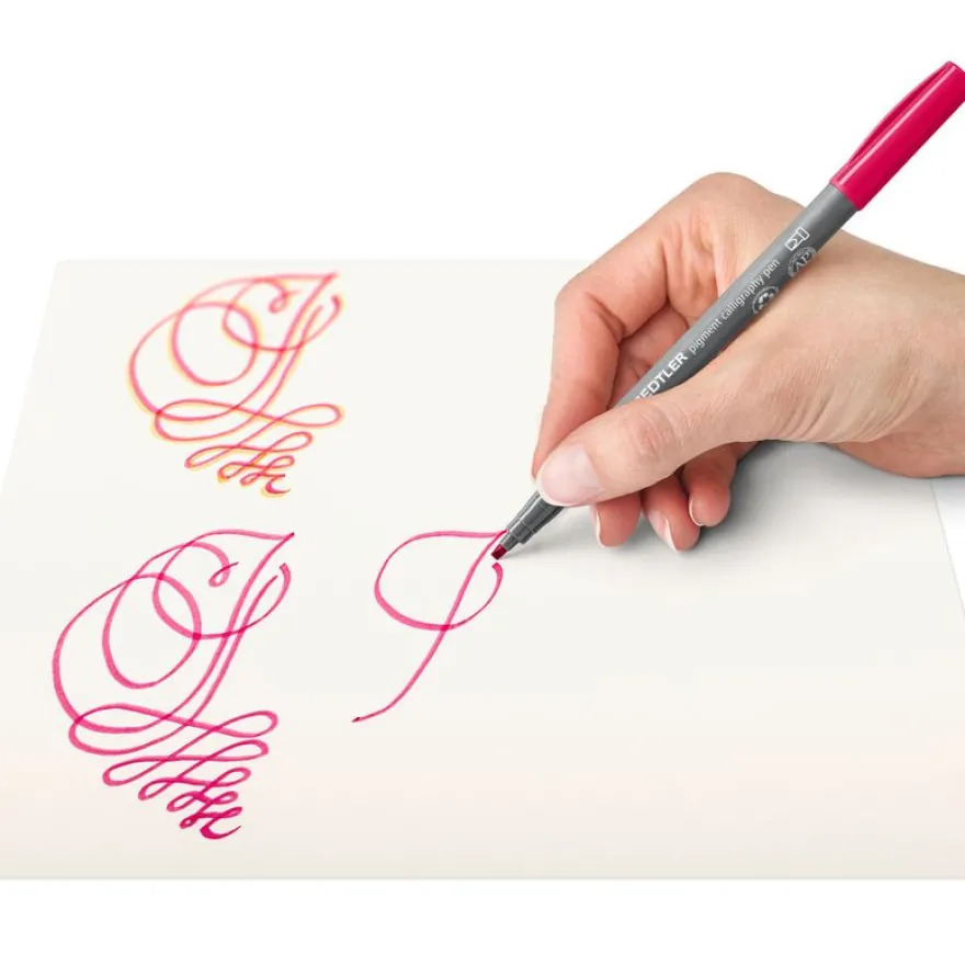 STAEDTLER Pigment calligraphy 375 - 12 feutres pointe calligraphie 2 mm - couleurs assorties - encre Multi Ink intense