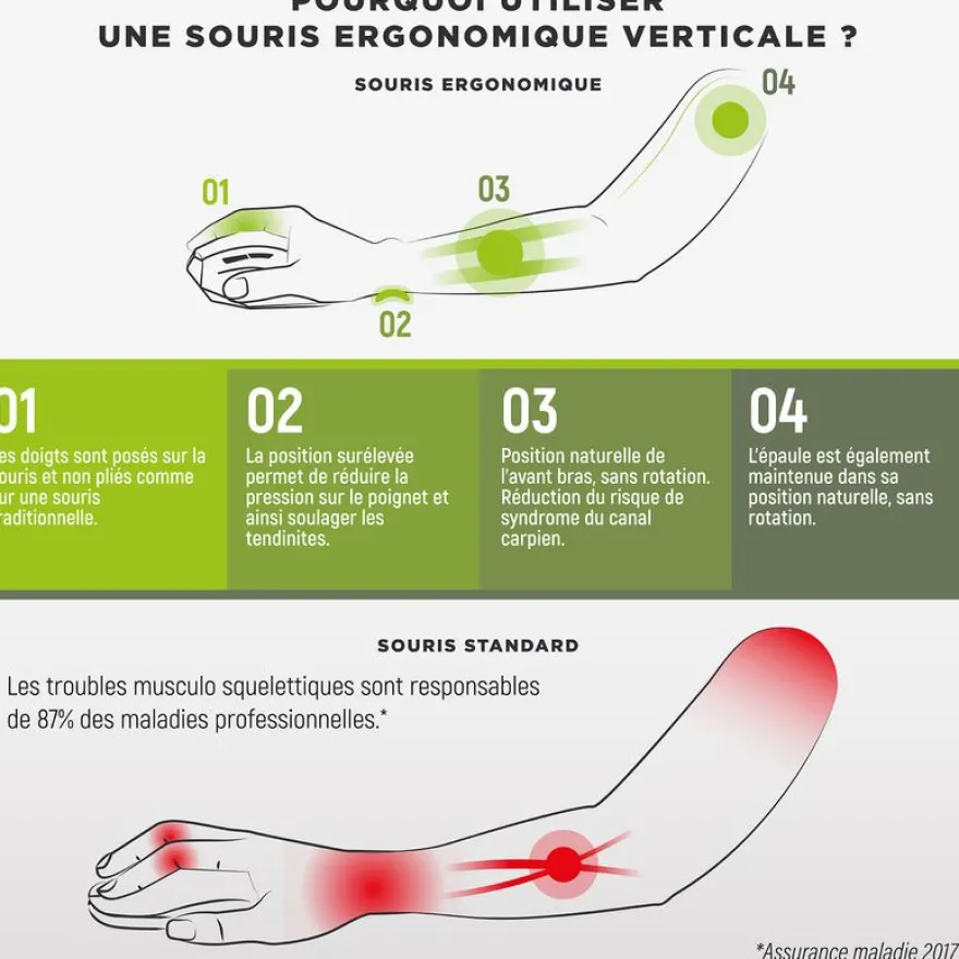 T'nB Ergo - Souris sans fil ergonomique pour droitier - noir