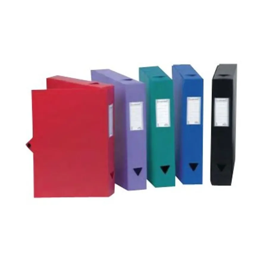 Viquel - Boîte de classement plastique - dos 100 mm - noir